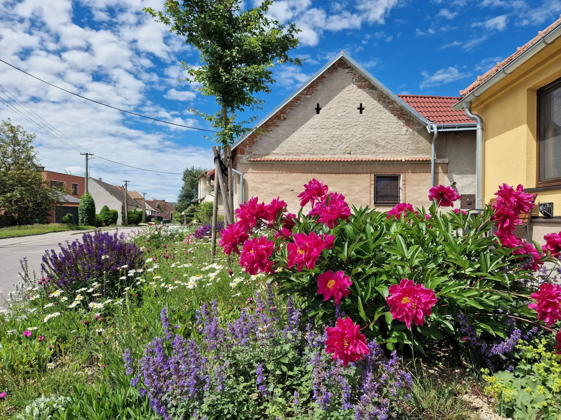 Obecní úřad, Rybníky