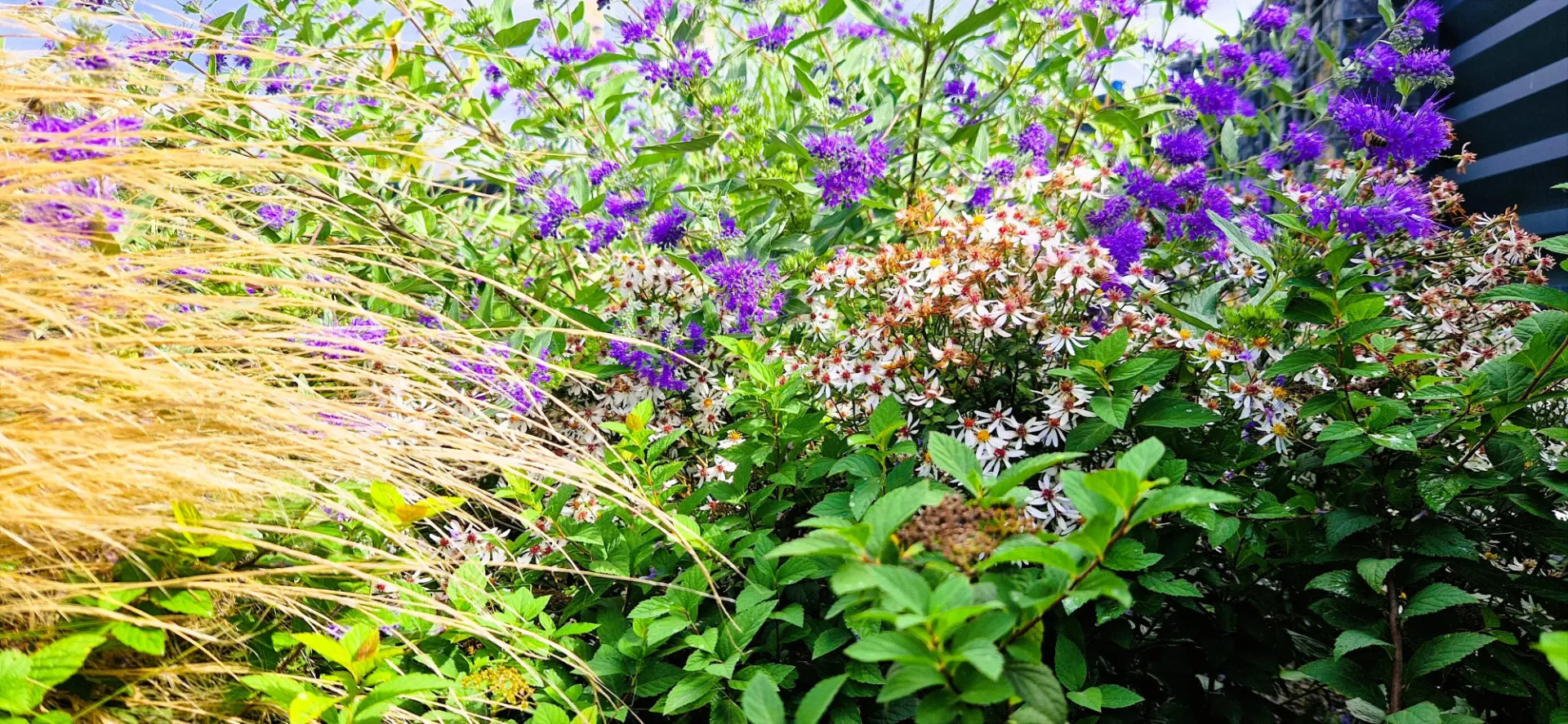 Rodinný dům, Moravský Krumlov