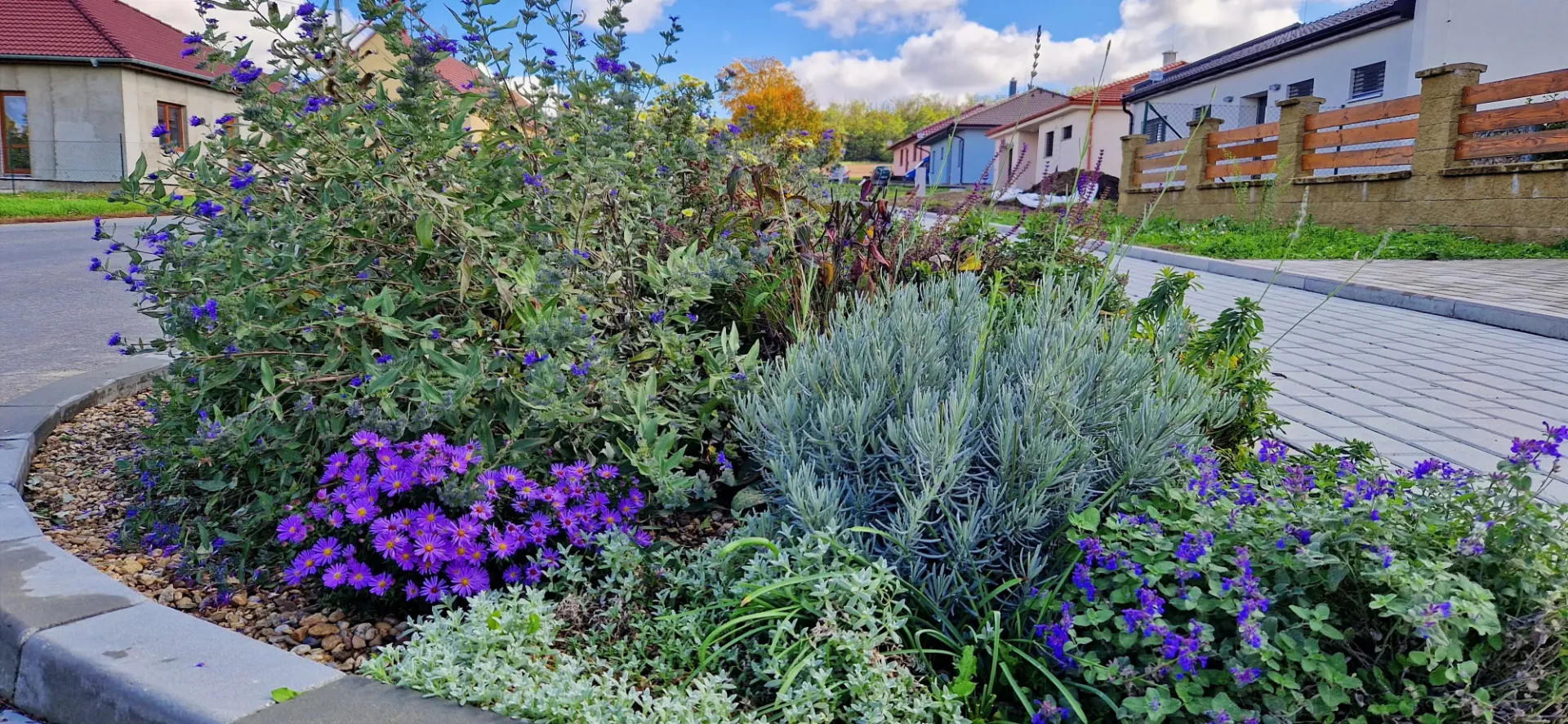 Obecní výsadba, Lesonice