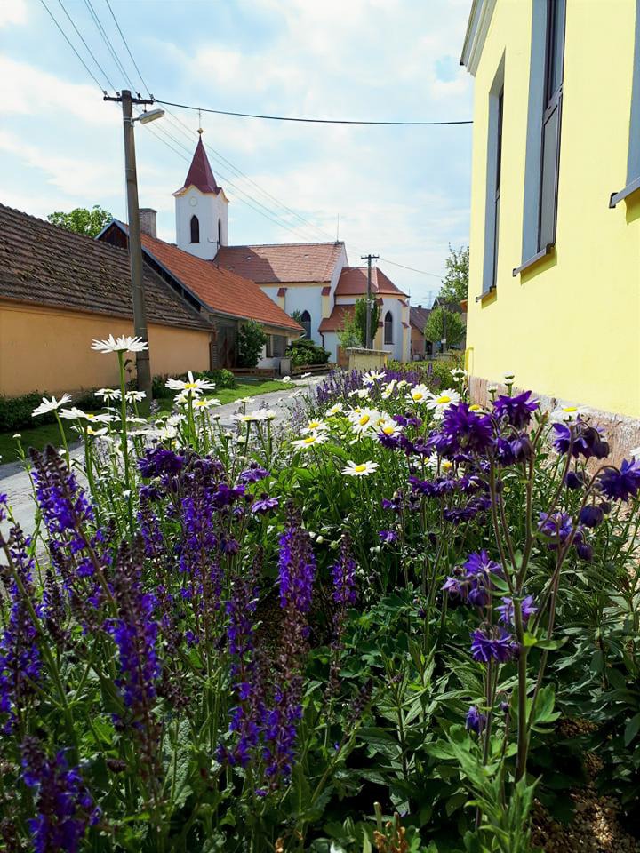 Předzahrádka, ZŠ Rybníky