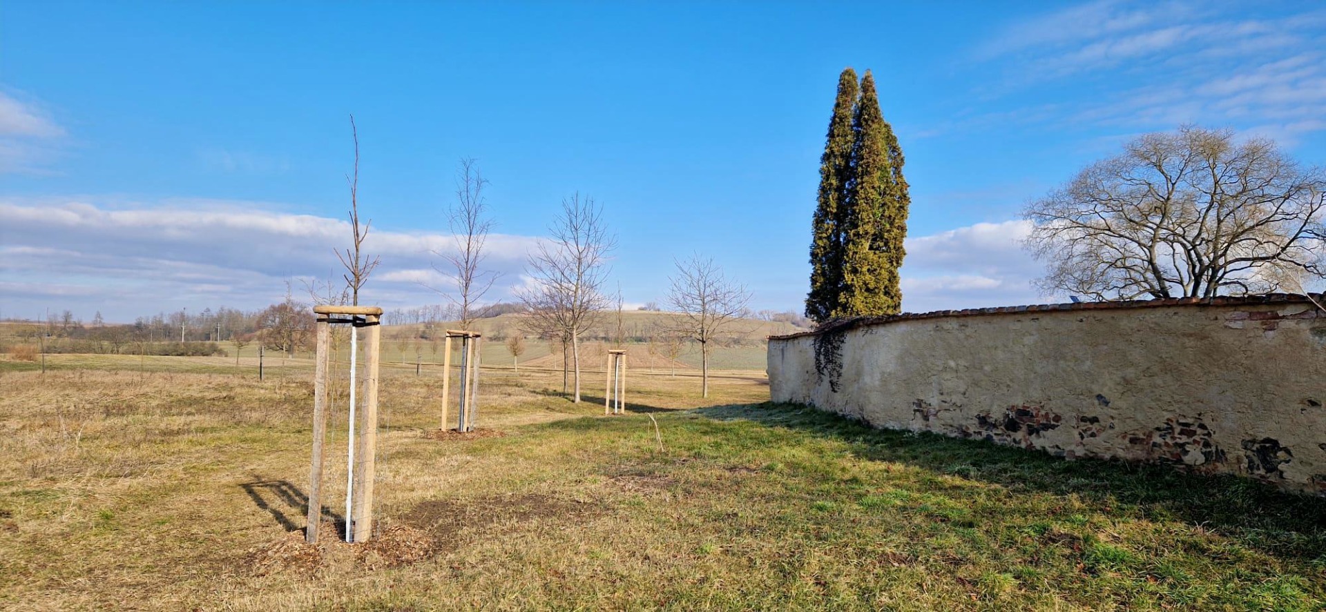 Stromy u hřbitova, Rybníky