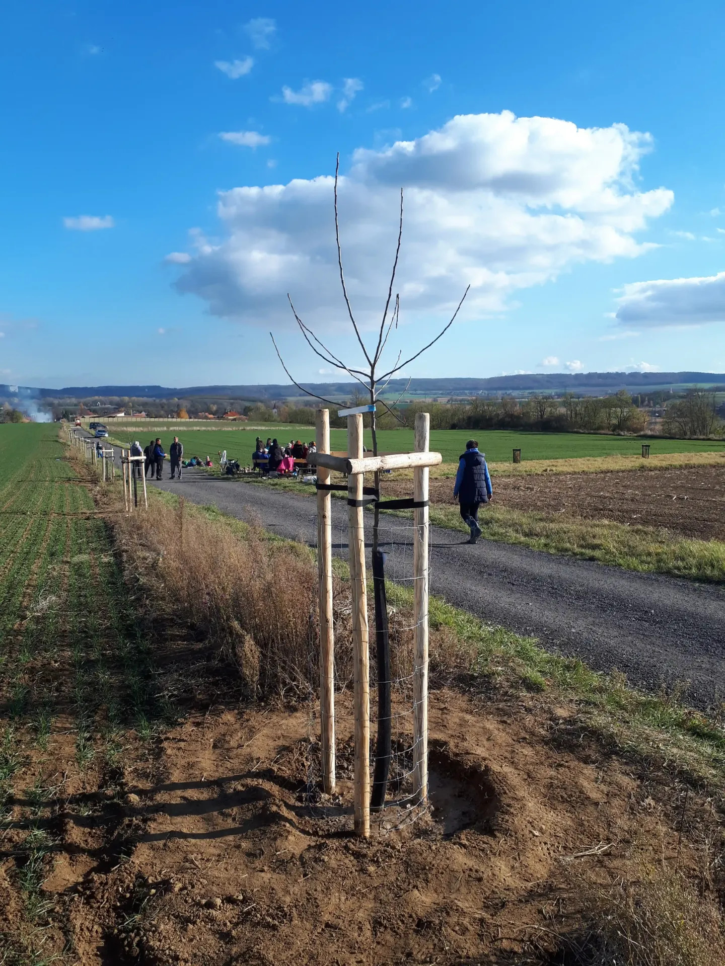 Ovocné stromořadí, Rybníky